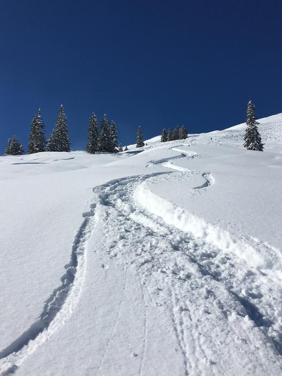 Appartement Haus Seerose Reith im Alpbachtal Eksteriør bilde